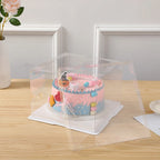 Clear Plastic Cake & Dessert Storage Box